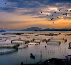 巴中伴游中国网景点丰富(旅游网介绍)