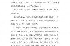 巴中旅游感想(张家界旅游感想)
