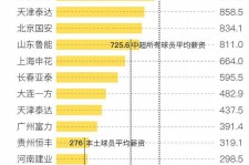 巴中关于伴游小丽中国足球的信息