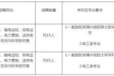 巴中重庆有雇用伴游外围吗(高端外围伴游雇用一单一结)