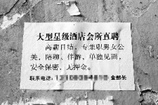 巴中珠海伴游雇用网(珠海游览社雇用信息)