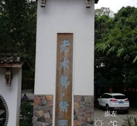巴中关于伴游中国伴游你们伴得是什么游的信息