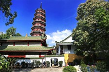巴中广州自由行(广州 自由行)