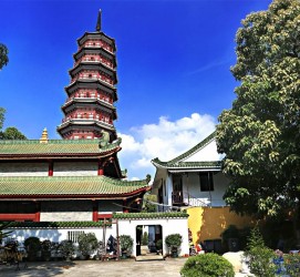 巴中广州自由行(广州 自由行)