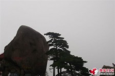 巴中上海伴游私家陪游雇用女模(上海伴游私家陪游雇用女模特)