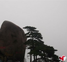 巴中上海伴游私家陪游雇用女模(上海伴游私家陪游雇用女模特)