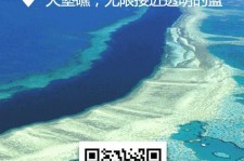 巴中中国250家旅行社结伴游新西兰(新西兰当地旅行社)