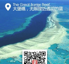 巴中中国250家旅行社结伴游新西兰(新西兰当地旅行社)