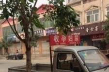 巴中上海伴游 用伴游造句大全(5