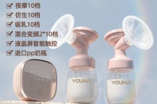 巴中奶模(奶模型)