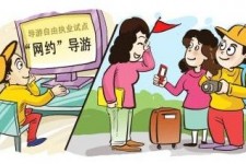 巴中伴游是什么