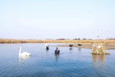 巴中南昌附近伴游小妹兼职(1534939978姐的微信德惠市)