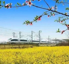 巴中高铁游(高铁游戏下载手机版)