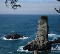 巴中旅游全攻略(上海旅游全攻略)