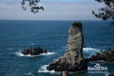 巴中旅游全攻略(上海旅游全攻略)