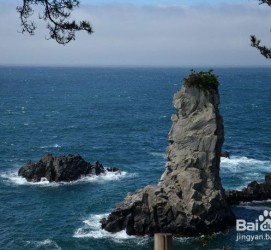 巴中旅游全攻略(上海旅游全攻略)