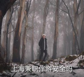 巴中上海私人伴游 上海伴游，上海兼职伴游安全吗