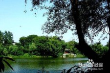 巴中西湖旅游攻略(上海到杭州西湖旅游攻略)