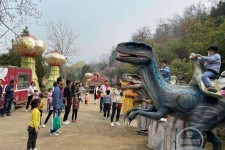 巴中中国伴游带你打卡网红南山竹海(南山竹海网上预约)