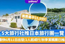 巴中旅游价格(旅游价格机制)