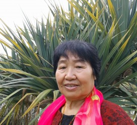 巴中白叟带老伴游半个中国(白叟外出旅游)