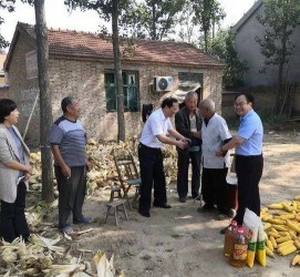 巴中关于宋叔带老伴游中国的信息