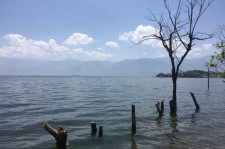 巴中洱海旅游攻略(洱海旅游攻略自由行)
