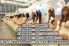 巴中雇用旅游男伴游(北京商务酒店雇用伴游)