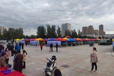 巴中通辽伴游雇用(哈尔滨伴游雇用)