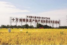 巴中关于成都商务伴游外围雇用的信息