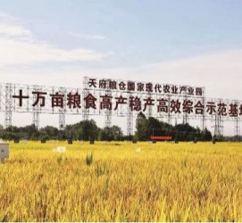 巴中关于成都商务伴游外围雇用的信息