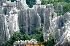 巴中贵阳市游览社英语伴游雇用(贵阳市前十名游览社是哪几家)