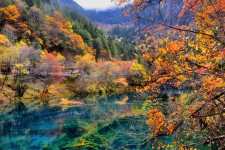 巴中四川旅游攻略(四川旅游攻略十五日游)