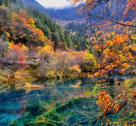 巴中四川旅游攻略(四川旅游攻略十五日游)