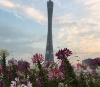 巴中广州旅游攻略(杭州到广州旅游攻略)