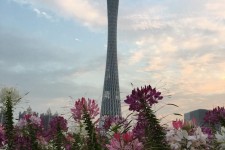 巴中广州旅游攻略(杭州到广州旅游攻略)