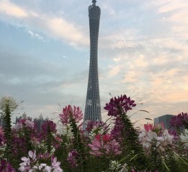 巴中广州旅游攻略(杭州到广州旅游攻略)