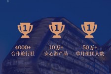 巴中上海私人伴游 ​ “小而美”的新时代：2020年国内新跟团消费报告