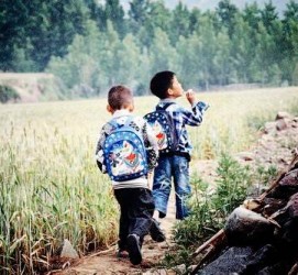 巴中河南一家四口结伴游中国2个月(河南适合一家四口旅游的地方)