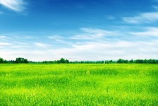 巴中上海伴游 上海模特伴游微信号的交友宣言
