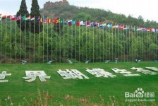 巴中昆明旅游攻略(昆明旅游攻略景点大全抚仙湖)