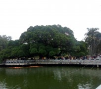 巴中福州旅游攻略(福州旅游攻略二日游)