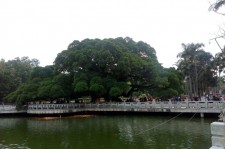 巴中福州旅游攻略(福州旅游攻略二日游)