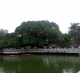 巴中福州旅游攻略(福州旅游攻略二日游)