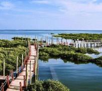 巴中旅游哪里好玩(云南旅游哪里好玩)