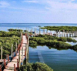 巴中旅游哪里好玩(云南旅游哪里好玩)