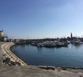巴中大连旅游攻略(大连旅游攻略自由行)