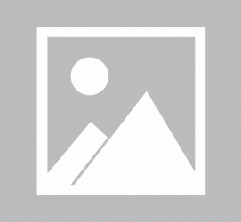 巴中私人伴游 黄金周里动“黄”经 天津又现“私人陪游”逆流