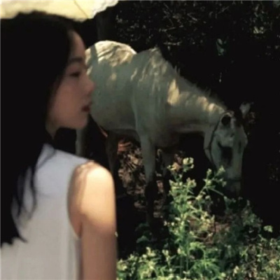 巴中私家伴游让你拥有一次完美的旅游体验
